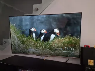 Smart TV TCL 55"