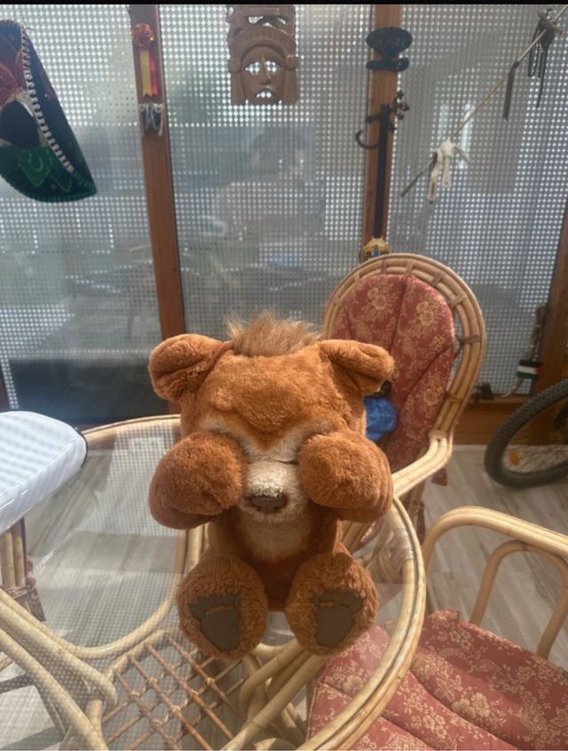 Orsacchiotto Curious Luna