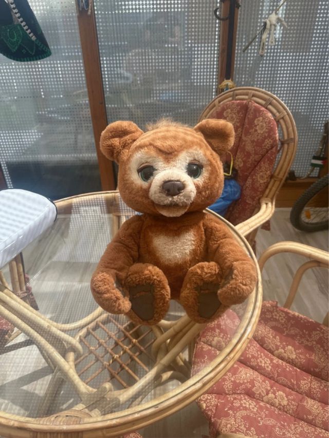 Orsacchiotto Curious Luna