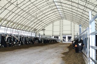 Carpas y naves agrícolas sin licencia Valencia