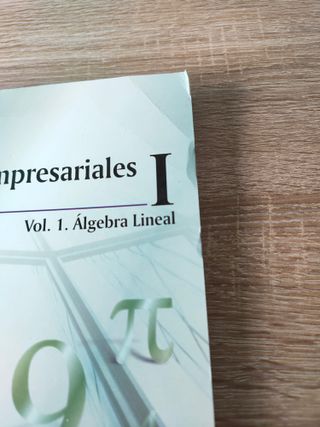Matemáticas empresariales i. Vol.I