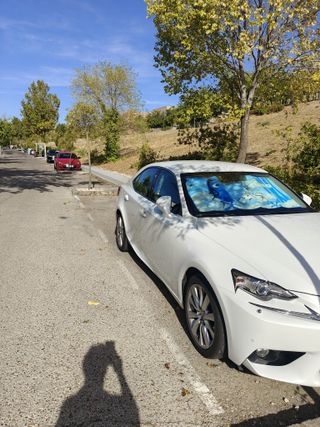 Lexus IS 2013