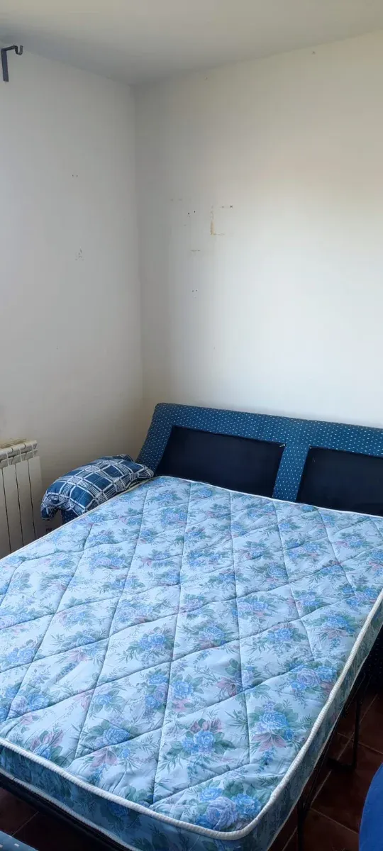 2 Sofás (1 Sofá Cama) Azul