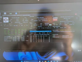 Lenovo ThinkPad T495