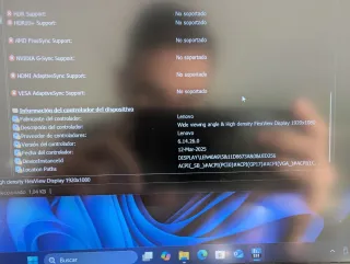Lenovo ThinkPad T495