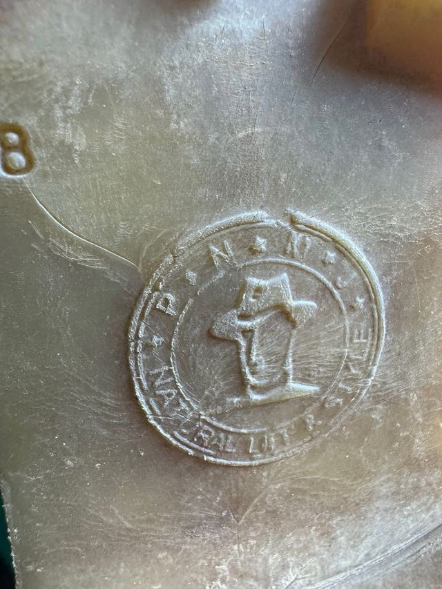 Botas Panamá Jack Marrones