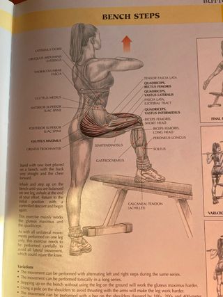 Libro Women's Strength Training Anatomy