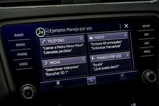Skoda Octavia   2.0 TSI 180kW 245CV DSG RS 