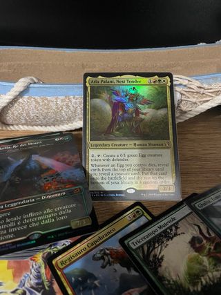 Atla Palani, Nest Tender Commander Naya