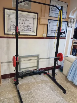 Rack de pesas Domyos Rack 500 con barras i discos