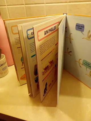 ¡Así funciona el mundo!: Descubre los secretos ...