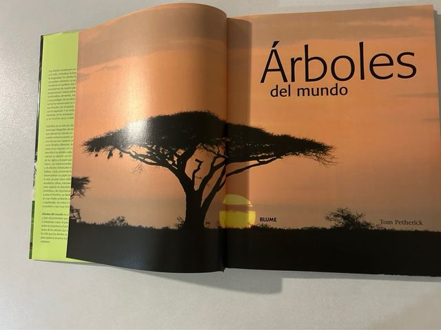 Árboles del mundo