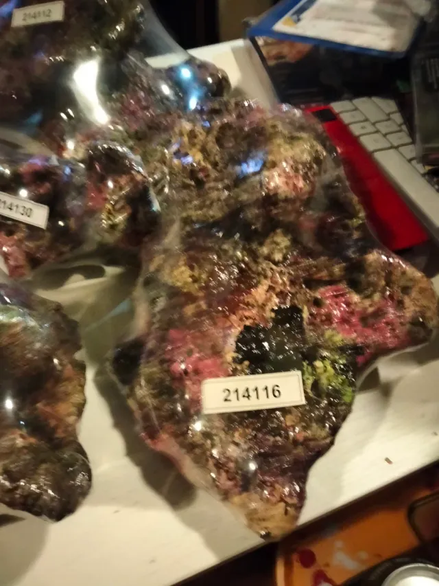 8 Rocas artificiales acuario diorama