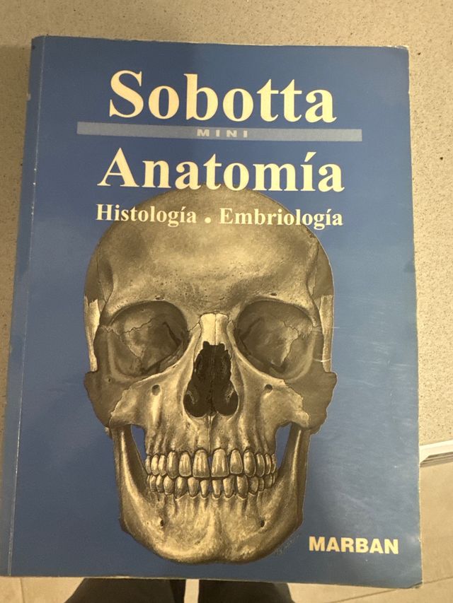 ANATOMÍA-HISTOLOGÍA-EMBRIOLOGÍA de residente 15 Ó