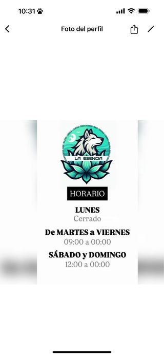 camarer@ para fines de semana