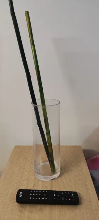 Jarrón de cristal con bambu