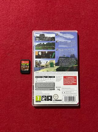 Minecraft Nintendo Switch