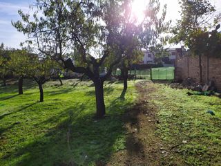 Finca Rústica en Almodóvar del Campo