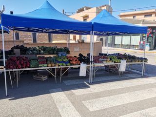 CARPAS PLEGABLES-Distintas Medidas-ENVIO GRATIS