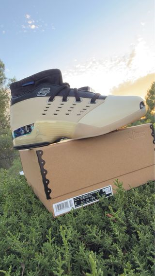 Jordan 17 Retro Low SP Archives Beige/Negro
