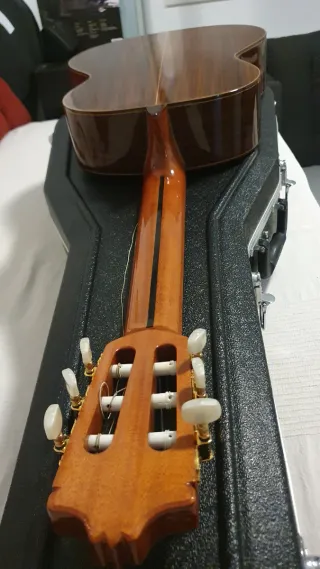 Guitarra Alhambra 5P
