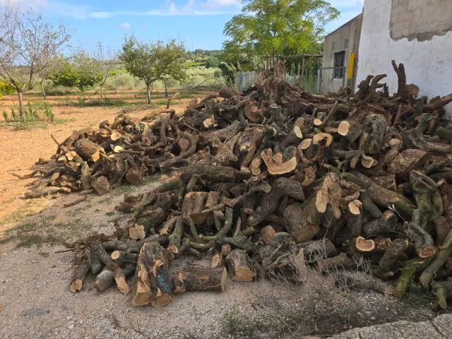 Vendo leña de olibo 