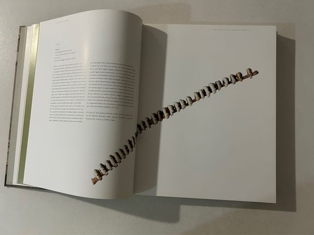 ARTE EN EL DINERO DINERO EN EL ARTE