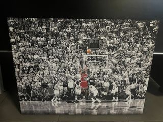 Cuadro Michael Jordan Baloncesto