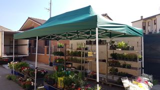 CARPA PLEGABLE 3X6-CALIDAD-ENVÍO GRATIS