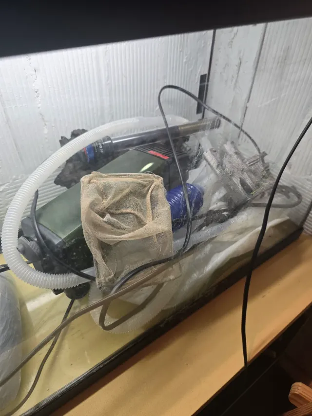 Acuario 80x30x40cm con luz