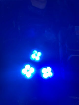 Focos LED TYRI Bluepoint 1010 CLD-406 Azul