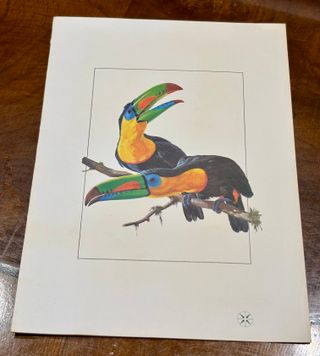 Lote 4 menús aerolinea VARIG Aves Brasileñas 70/80