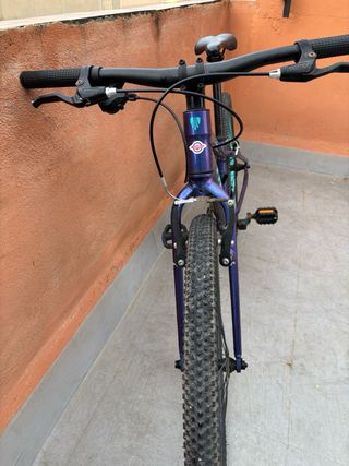 Bicicleta Infantil Trek Wahoo 24 Lila