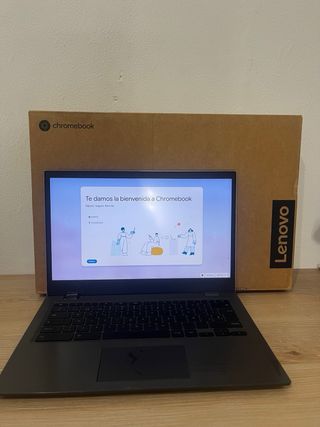 Portátil Lenovo Gris Plata