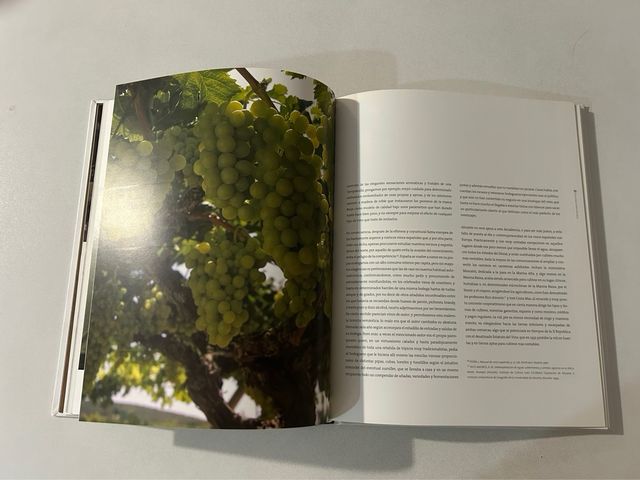 Libro LOS VINOS DEL SOL (Alicante)