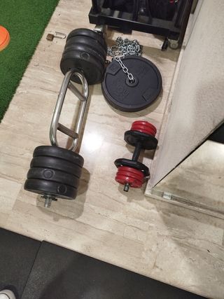 Barra romana con discos 25 kg
