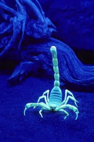 Profesional de la limpieza  Muchos años