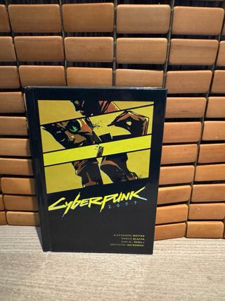 Cyberpunk 2077 PS4 Edición Coleccionista SIN JUEGO