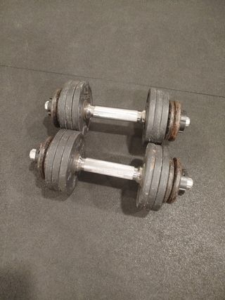 2 Mancuernas 10.5 kg con cierres