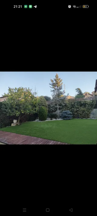 Jardinero