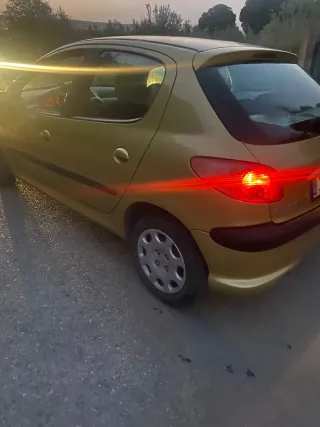 Peugeot 206 año 2004