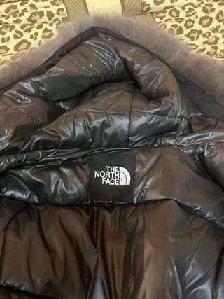 Chaqueta The North Face Negra con Capucha