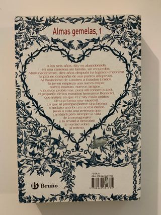 Almas gemelas, 1. En busca de Sky (Almas gemela...
