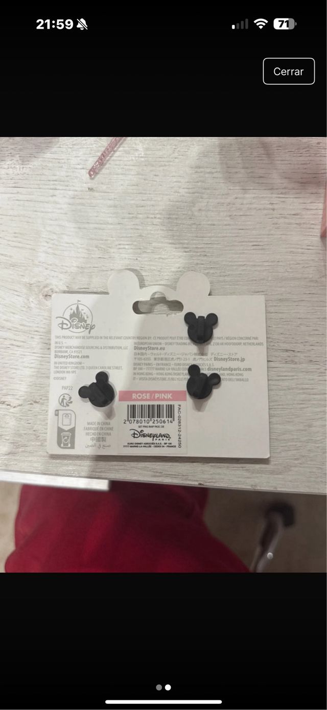 Pines Disney Rapunzel y Pascal