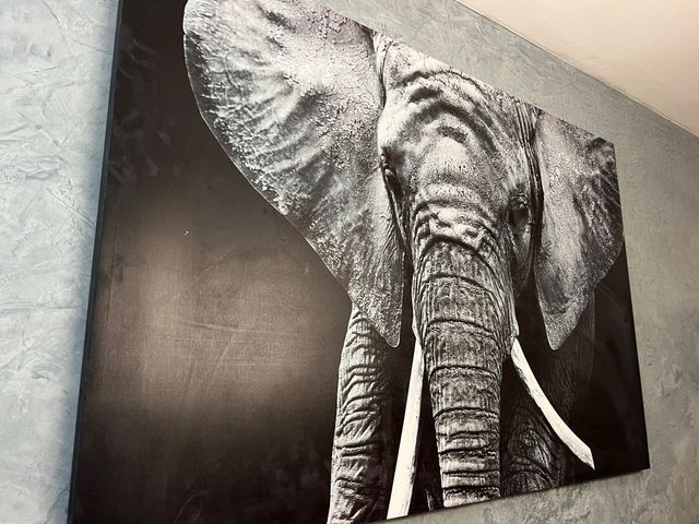 Cuadro de elefante en blanco y negro