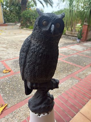Figura búho realista PVC ojos dorados