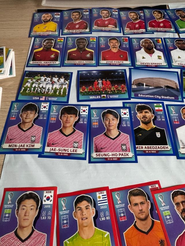 Carte collezionabili Panini World Qatar 2022