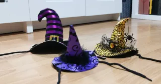 Lotto 3 cappelli da strega con mascotte