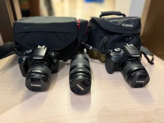 Confezione da 2 fotocamere Canon EOS 2000D e 1100D