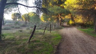 Allevamento di bestiame con porta